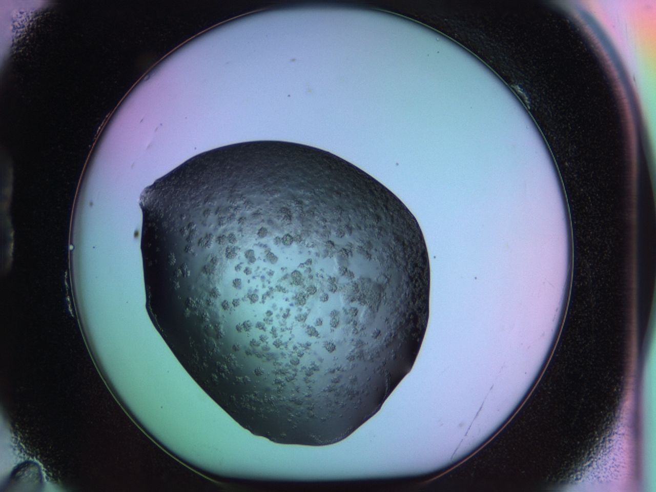 03ps_B11_ImagerDefaults_6.jpg