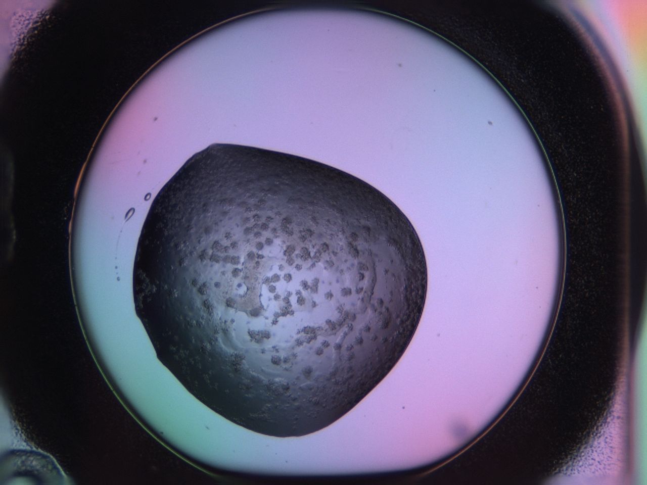 03ps_B10_ImagerDefaults_6.jpg