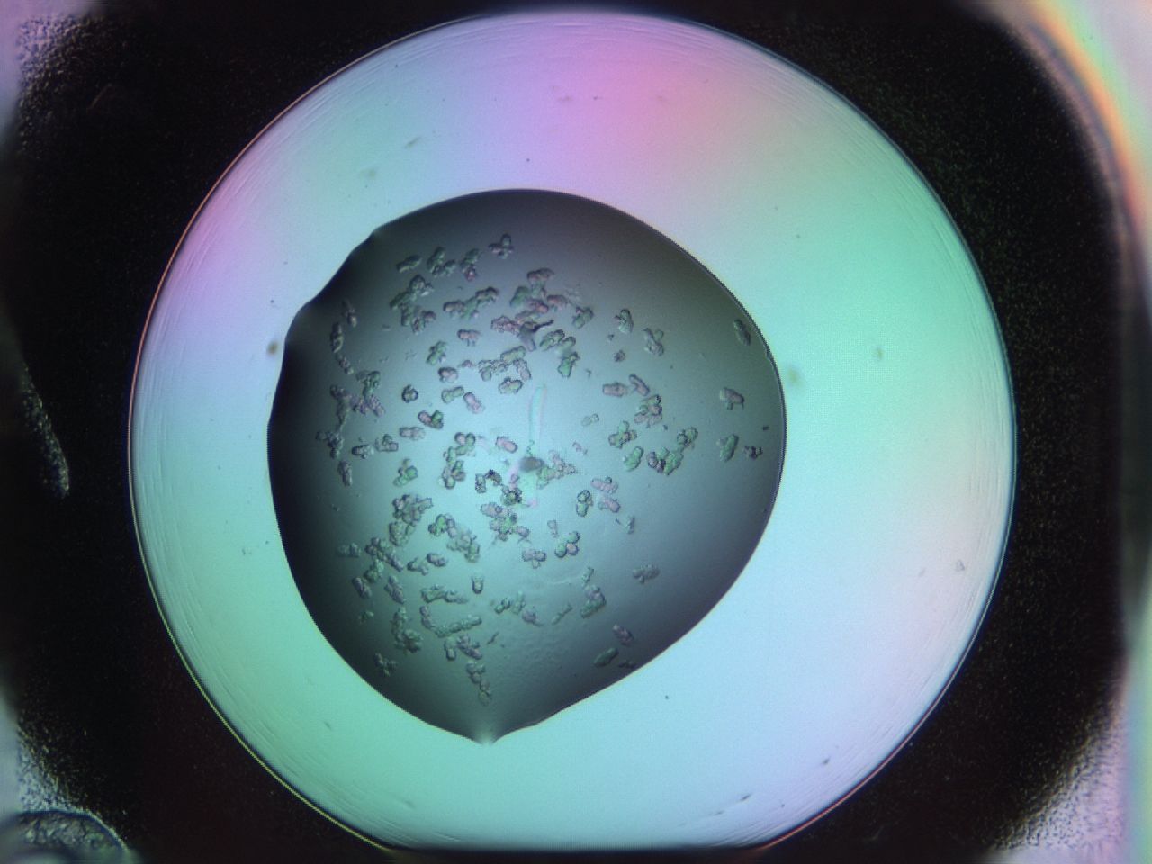 03ps_A12_ImagerDefaults_7.jpg