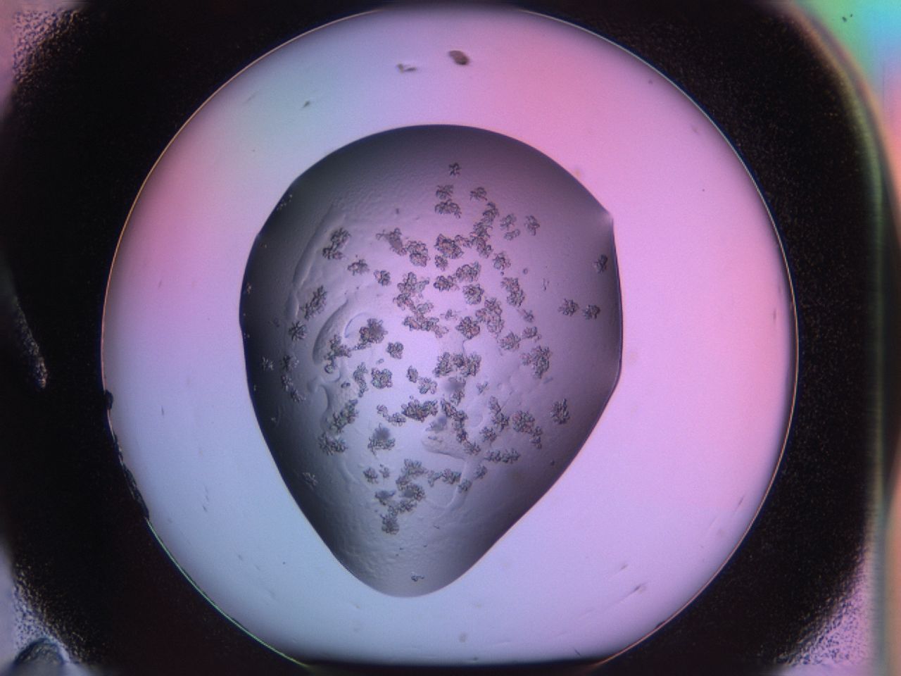 03ps_A11_ImagerDefaults_6.jpg