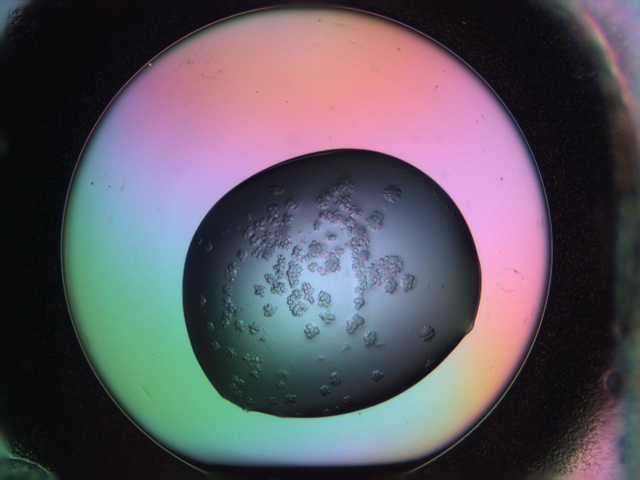 03ps_F12_ImagerDefaults_6.jpg