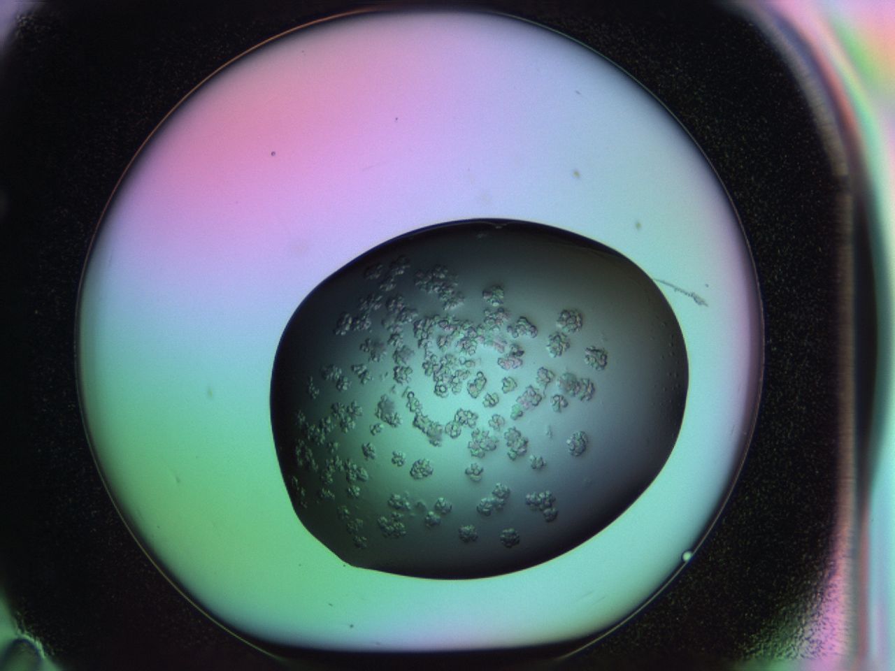 03ps_F11_ImagerDefaults_6.jpg