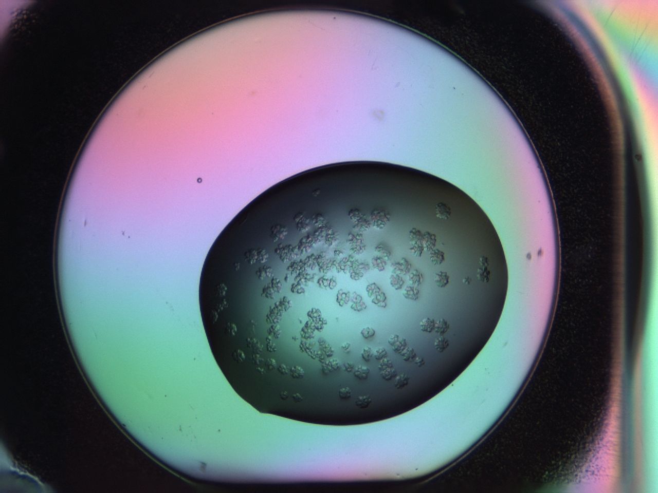 03ps_F10_ImagerDefaults_6.jpg