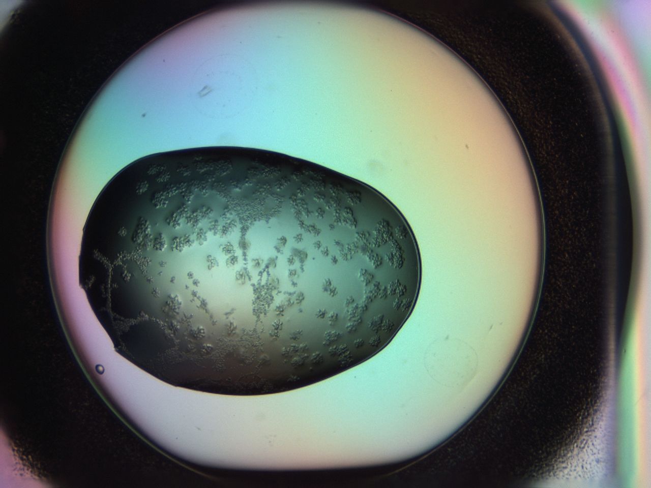 03ps_F3_ImagerDefaults_6.jpg
