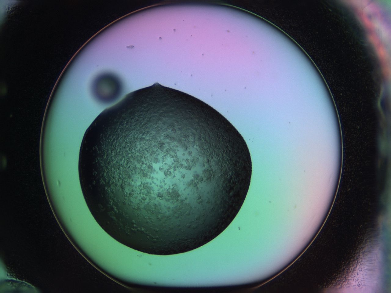 03ps_E12_ImagerDefaults_6.jpg