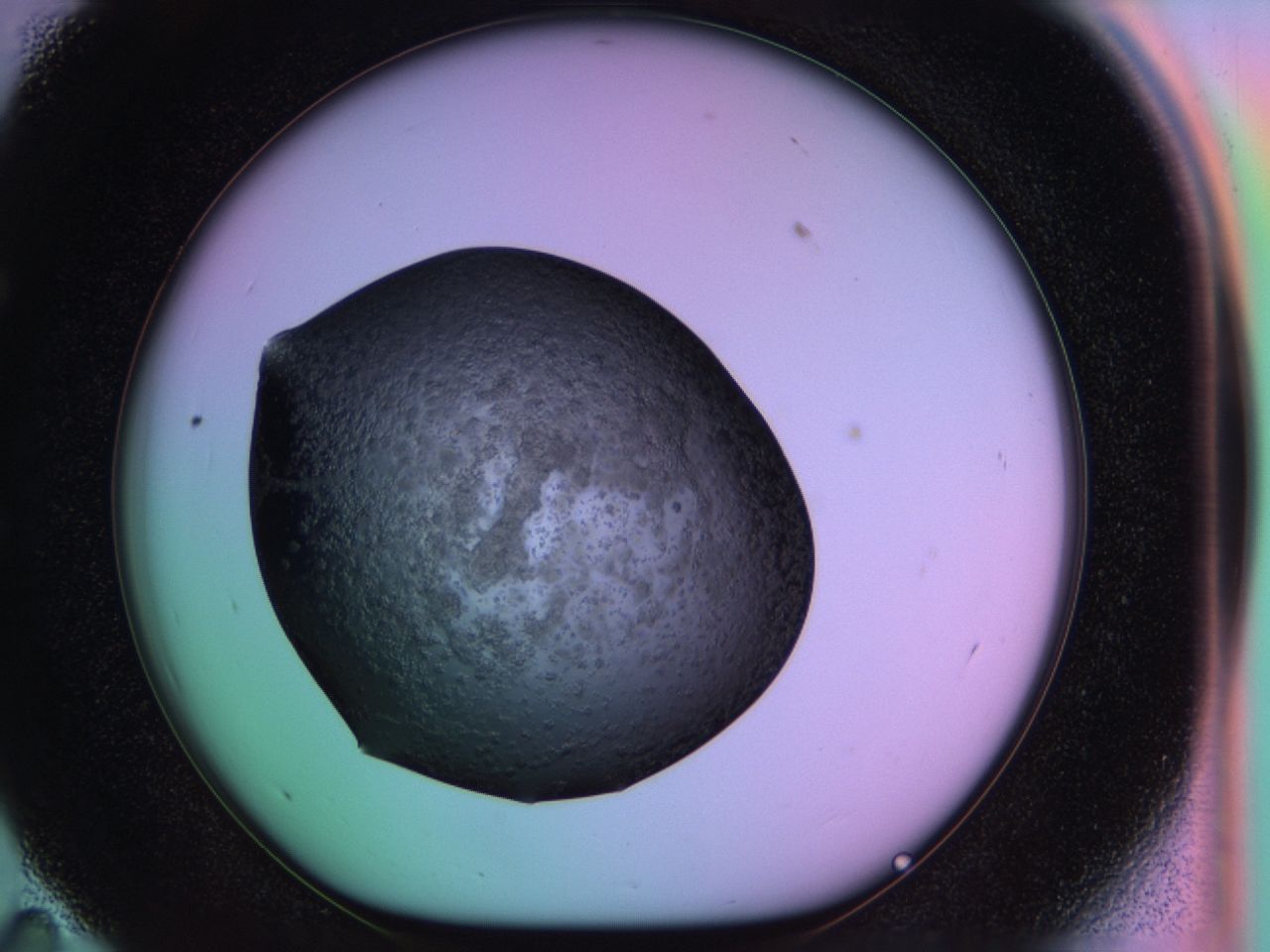 03ps_E11_ImagerDefaults_6.jpg