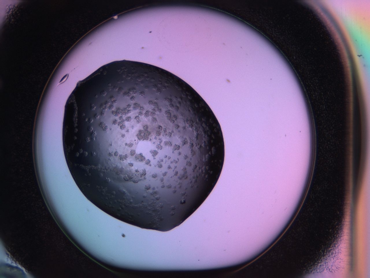 03ps_E10_ImagerDefaults_6.jpg