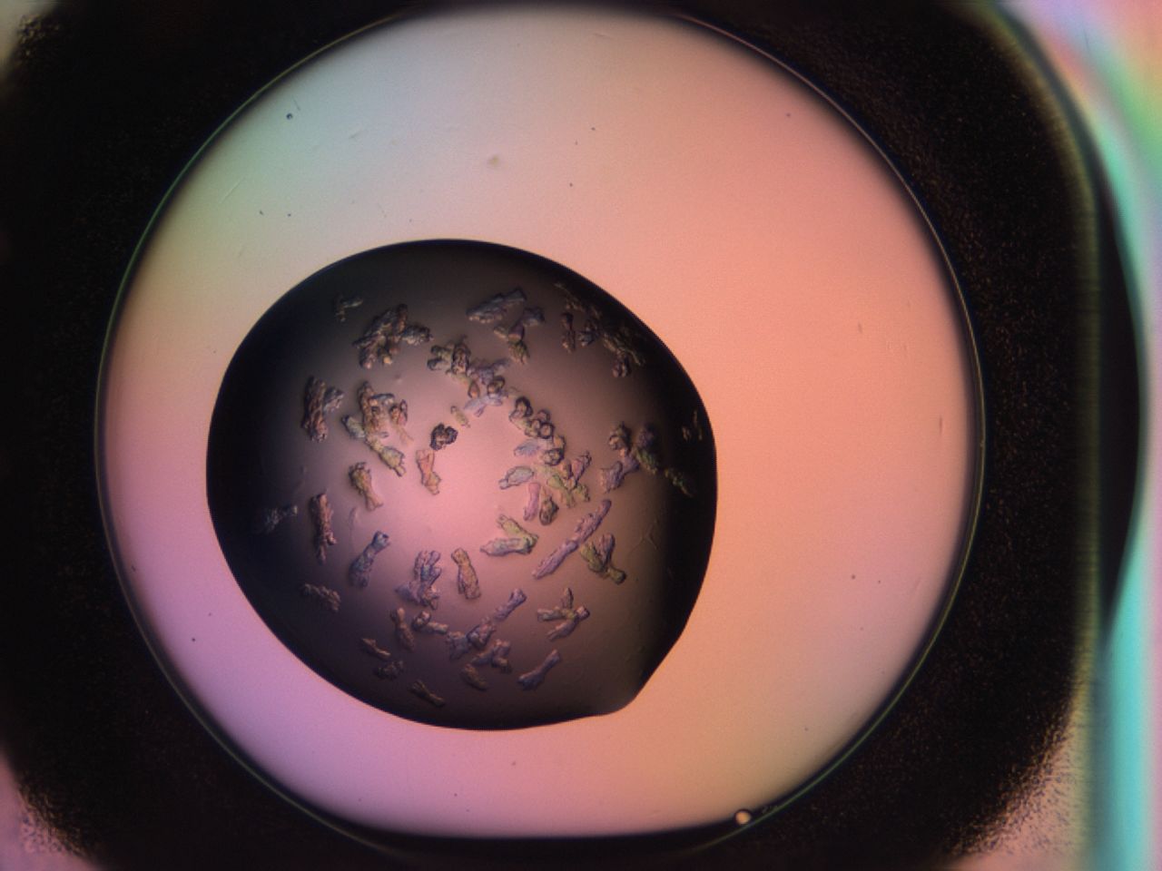 03ps_E2_ImagerDefaults_8.jpg