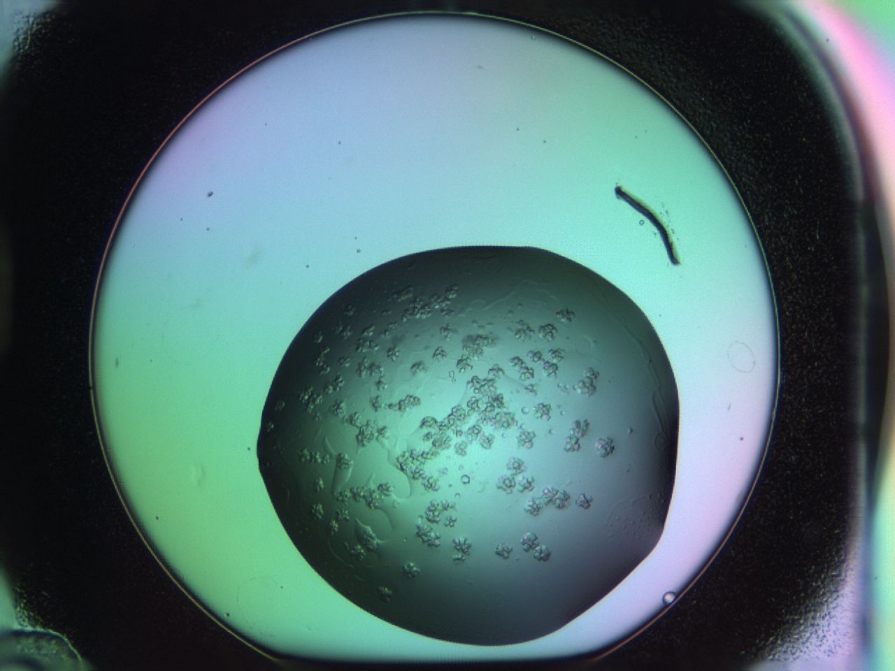 03ps_D12_ImagerDefaults_6.jpg