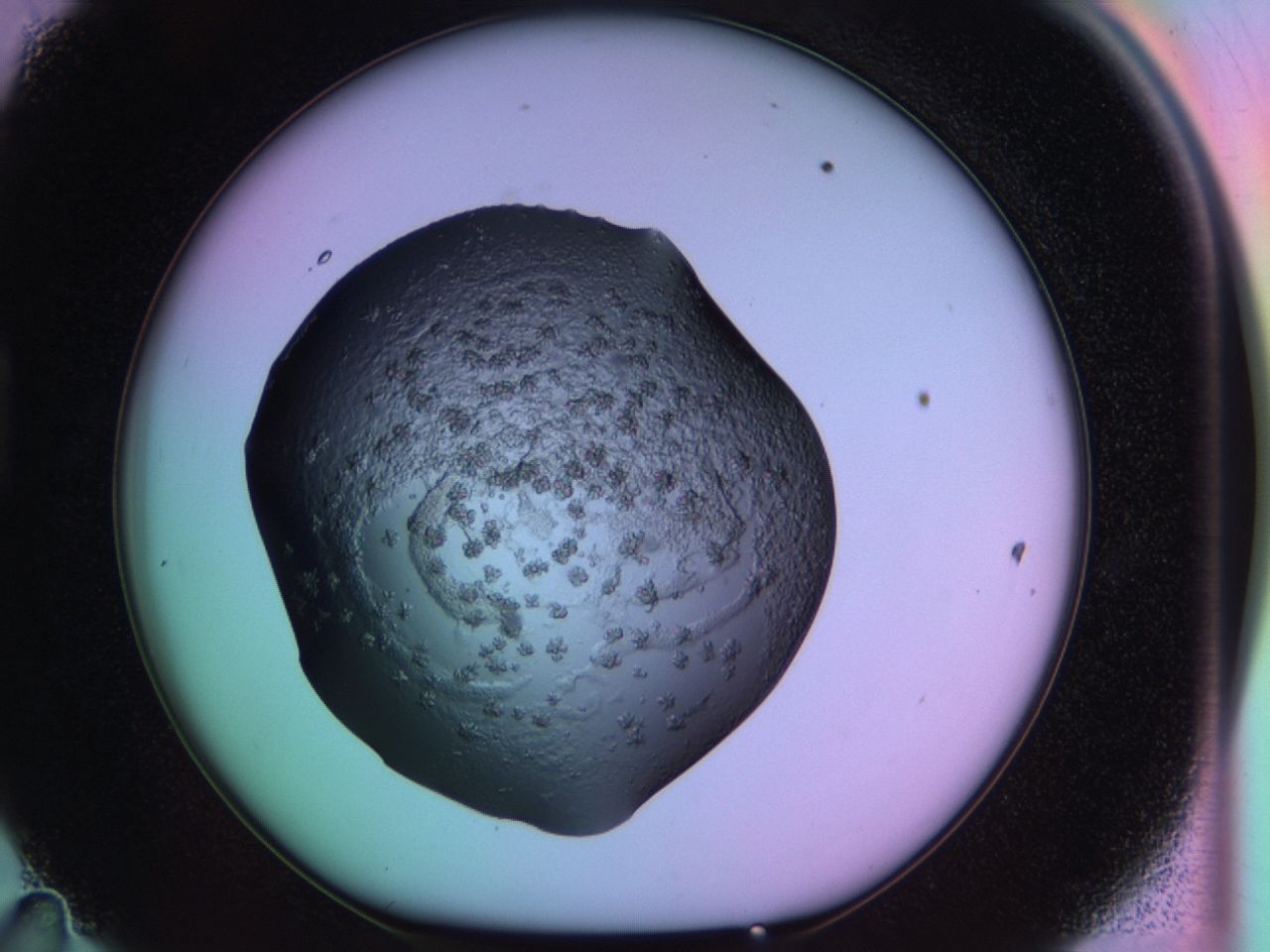03ps_D11_ImagerDefaults_6.jpg
