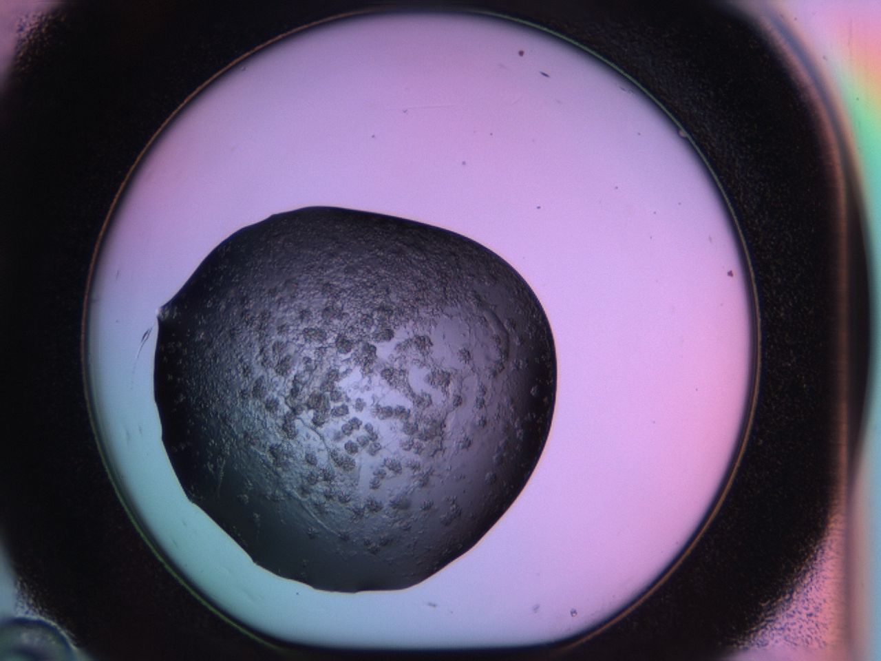 03ps_D10_ImagerDefaults_6.jpg