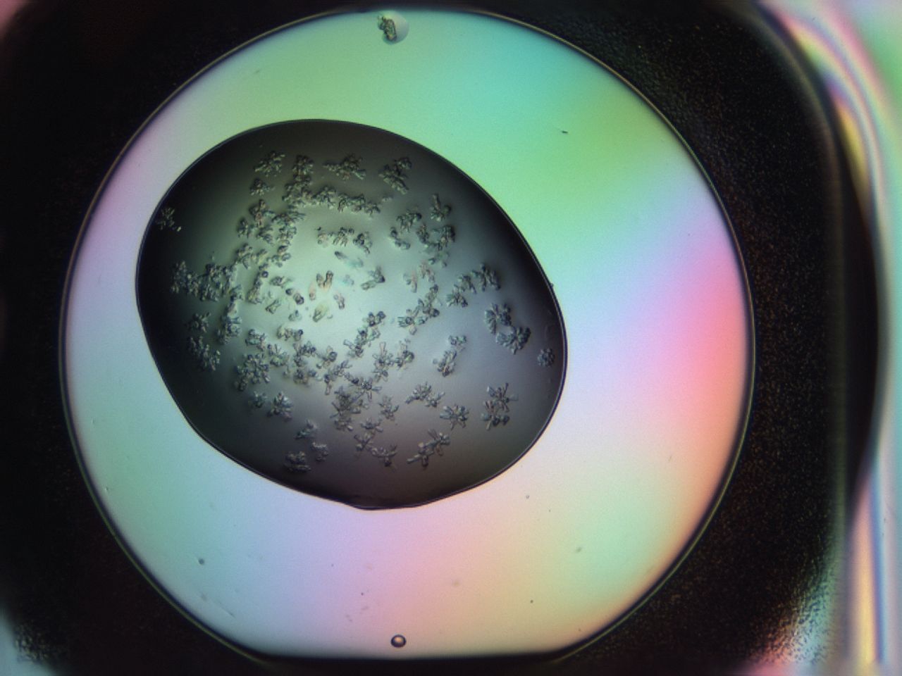 03ps_G3_ImagerDefaults_8.jpg