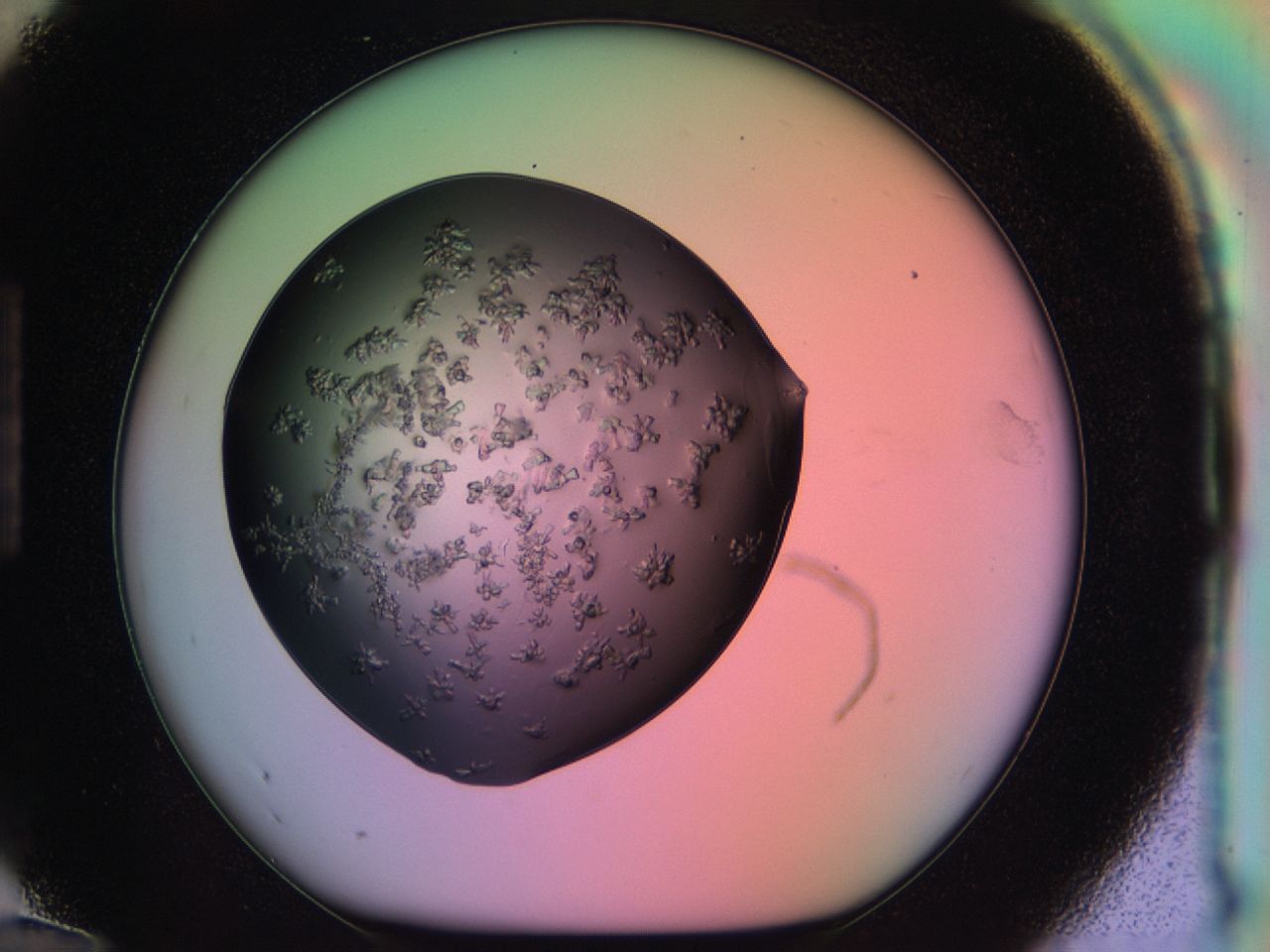 03ps_H12_ImagerDefaults_6.jpg