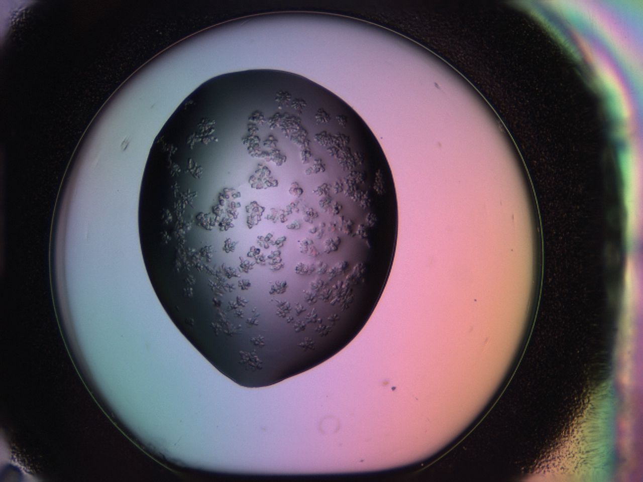 03ps_H11_ImagerDefaults_6.jpg