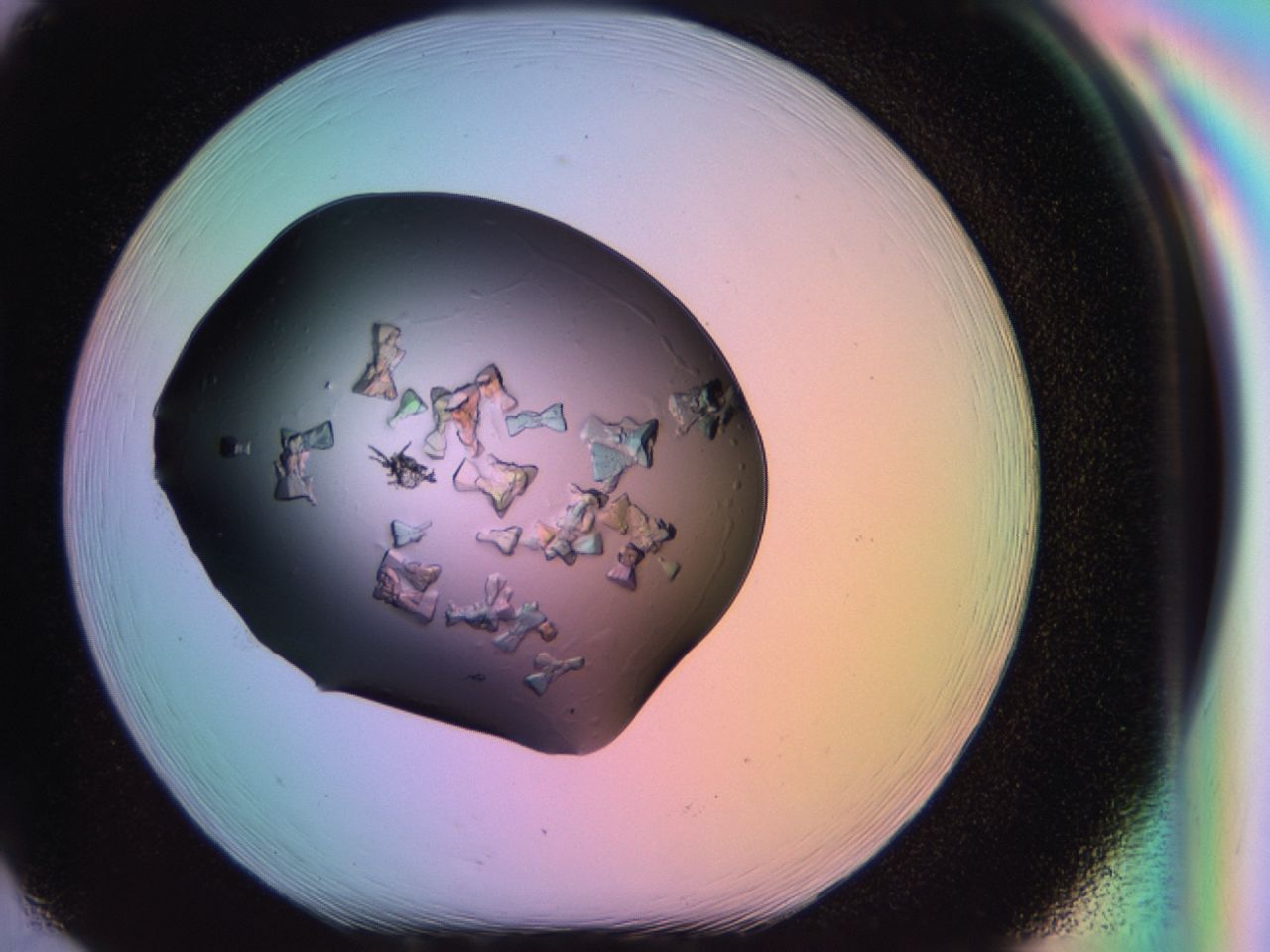 03ps_H2_ImagerDefaults_9.jpg