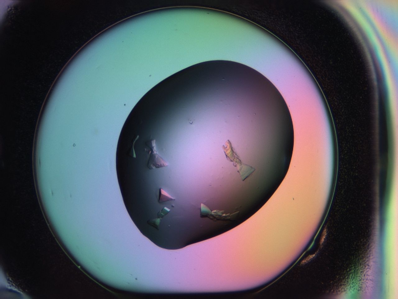 03ps_G10_ImagerDefaults_9.jpg