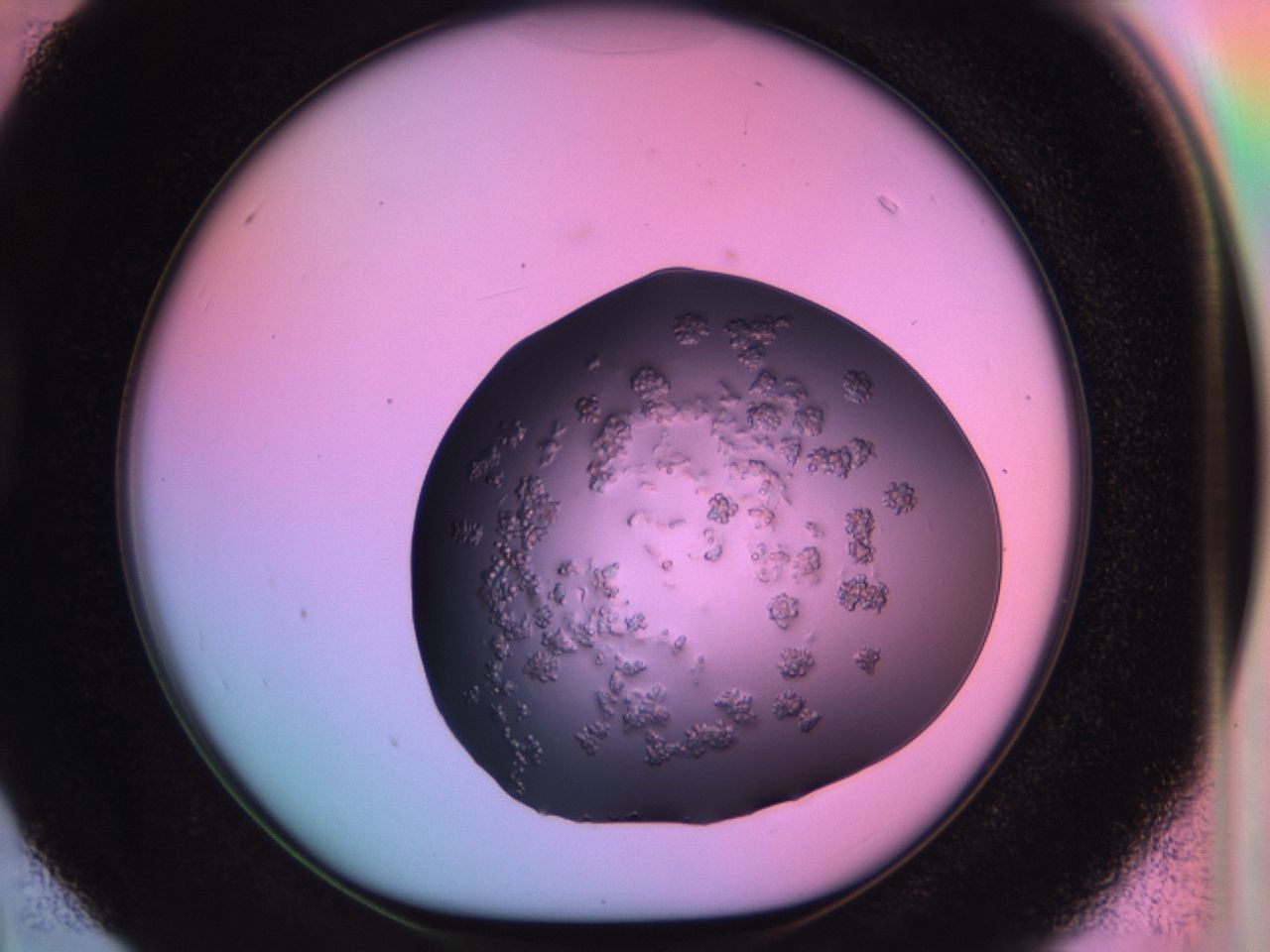 03ps_D4_ImagerDefaults_7.jpg