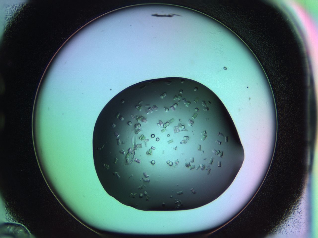 03ps_C12_ImagerDefaults_8.jpg