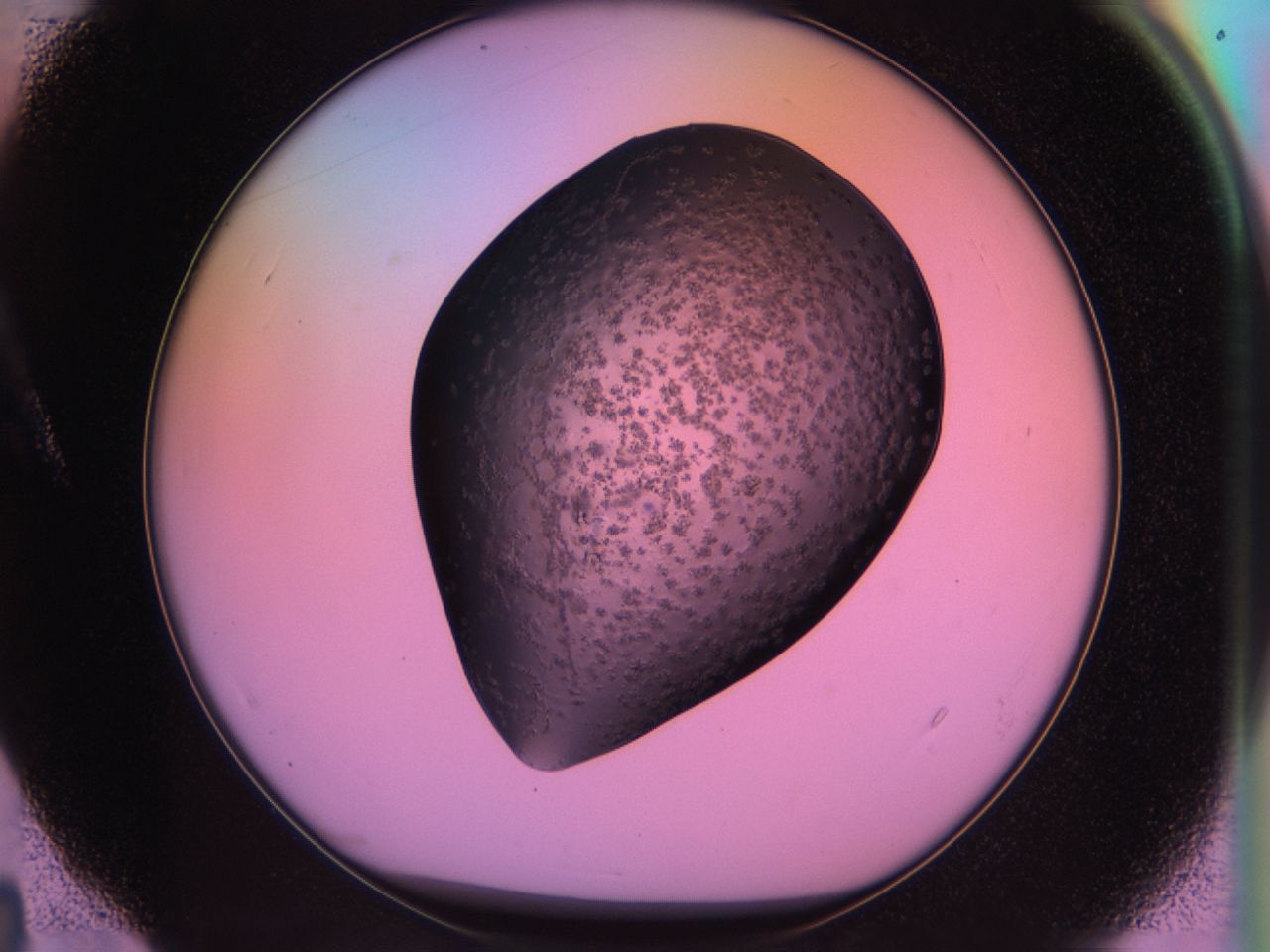03ps_A4_ImagerDefaults_6.jpg