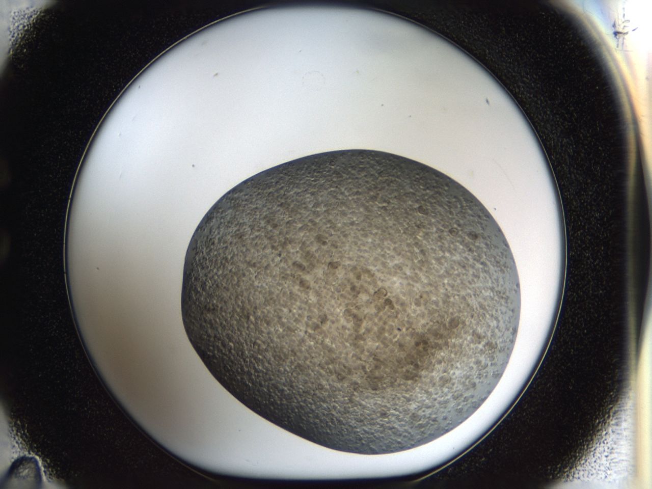 03pz_C11_ImagerDefaults_7.jpg
