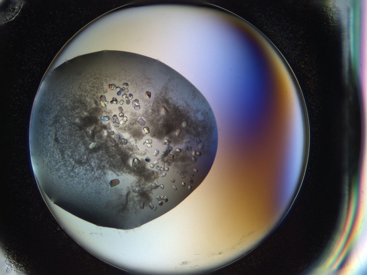 03pz_G10_ImagerDefaults_8.jpg