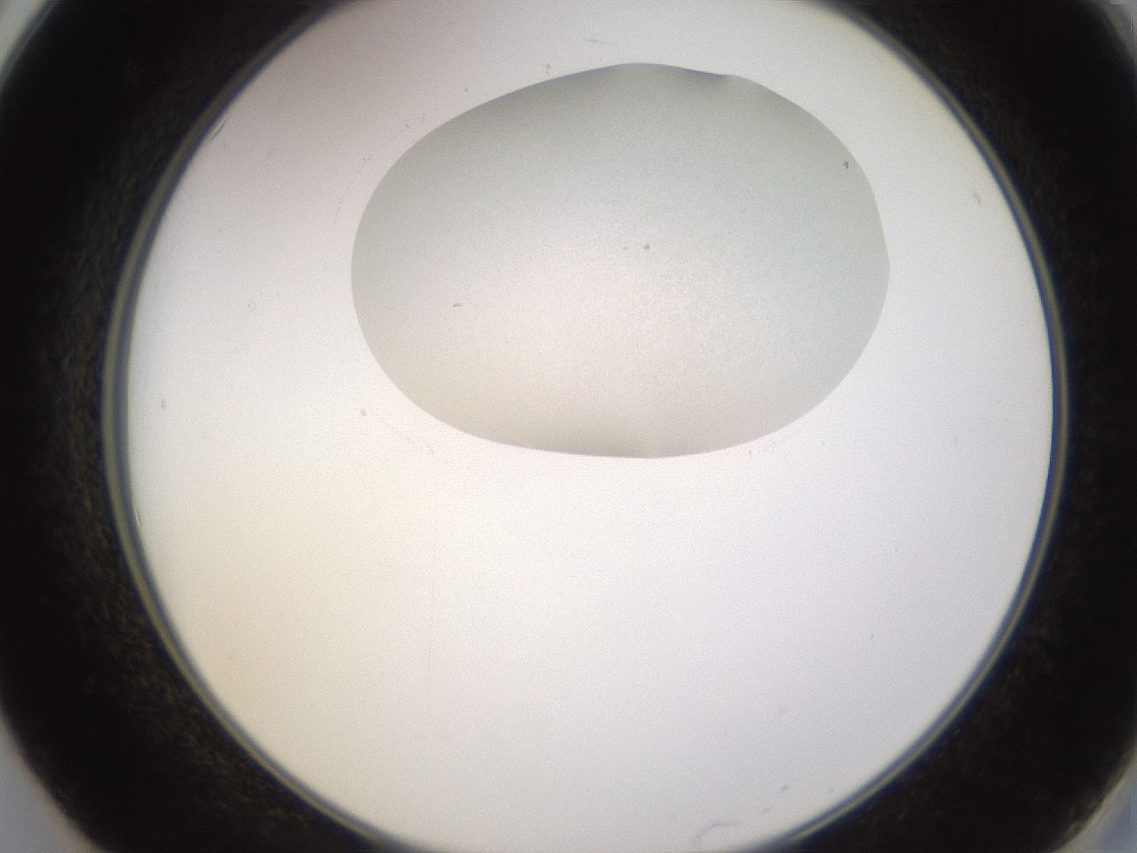 folderID795_plateID2795_batchID14926_wellNum50_profileID1_d2_r230571_ef.jpg
