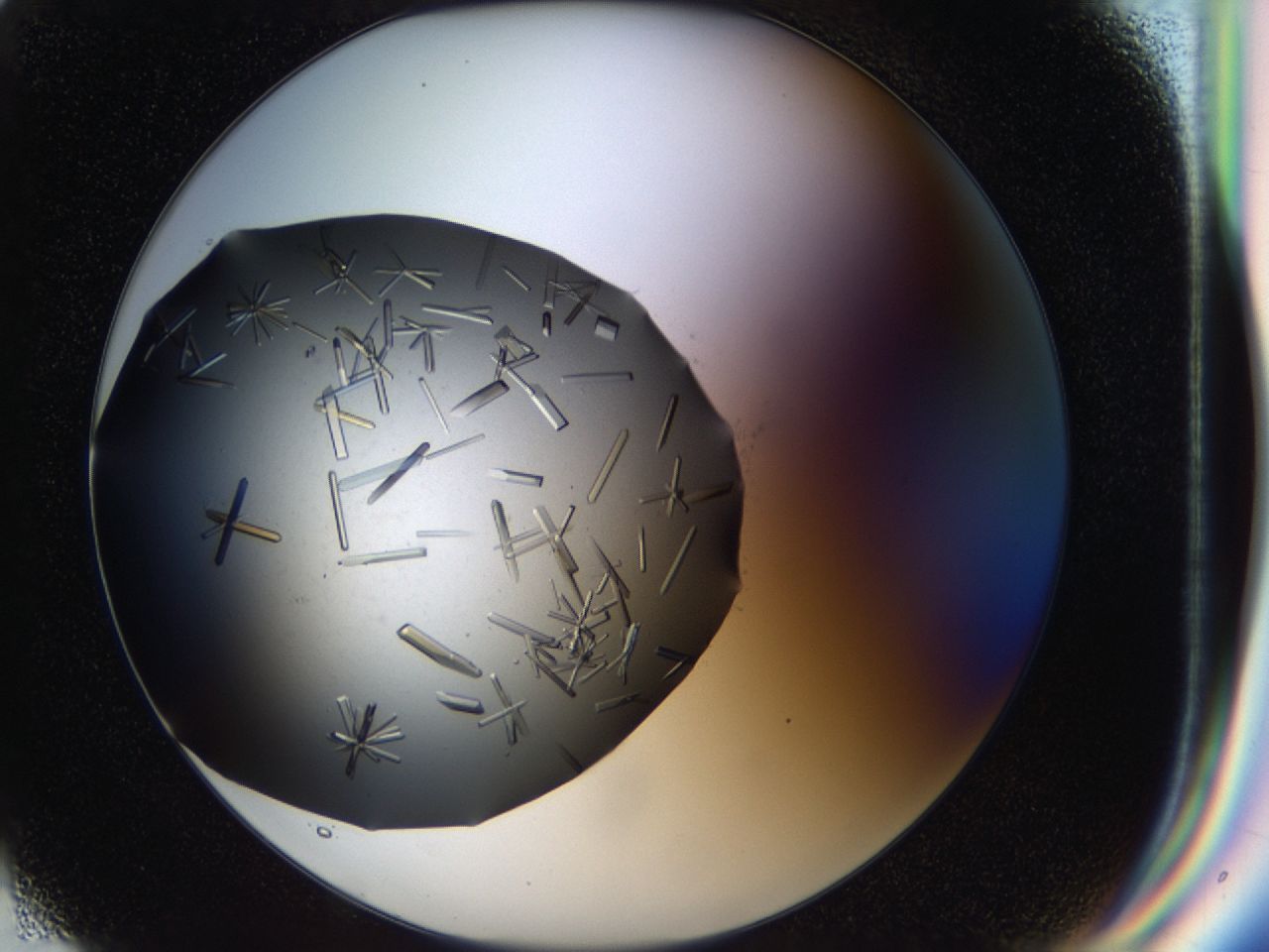 03q0_G6_ImagerDefaults_9.jpg