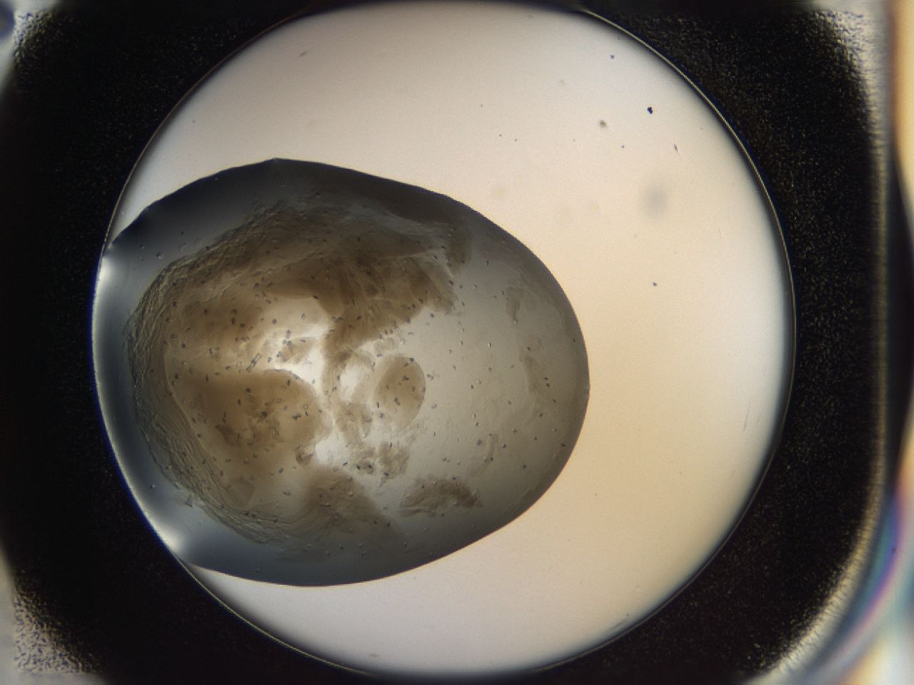 03q1_C2_ImagerDefaults_6.jpg