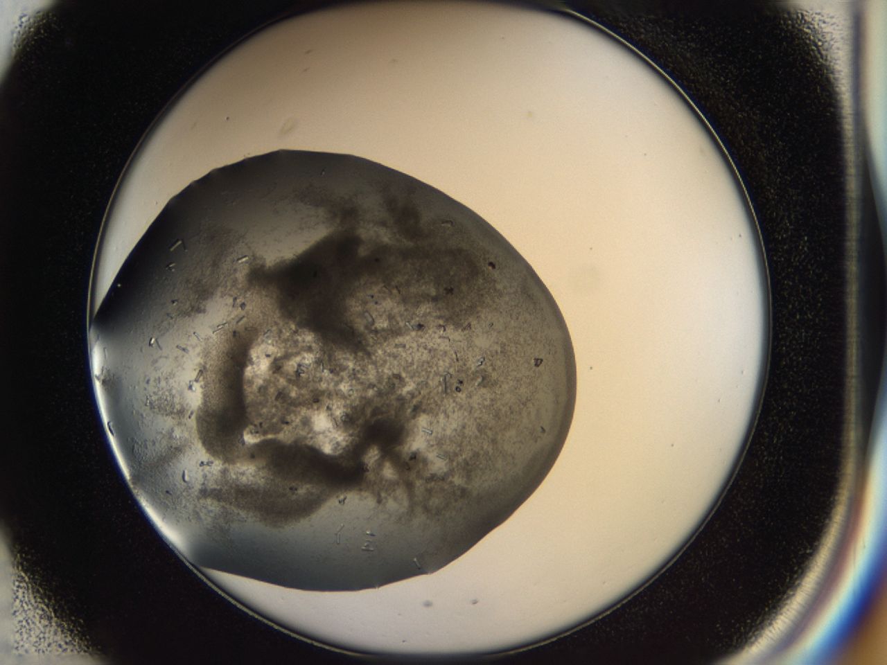 03q1_C1_ImagerDefaults_7.jpg