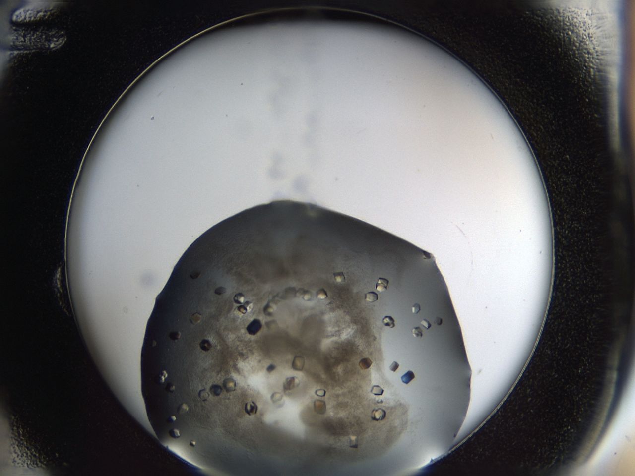 03q1_B12_ImagerDefaults_8.jpg