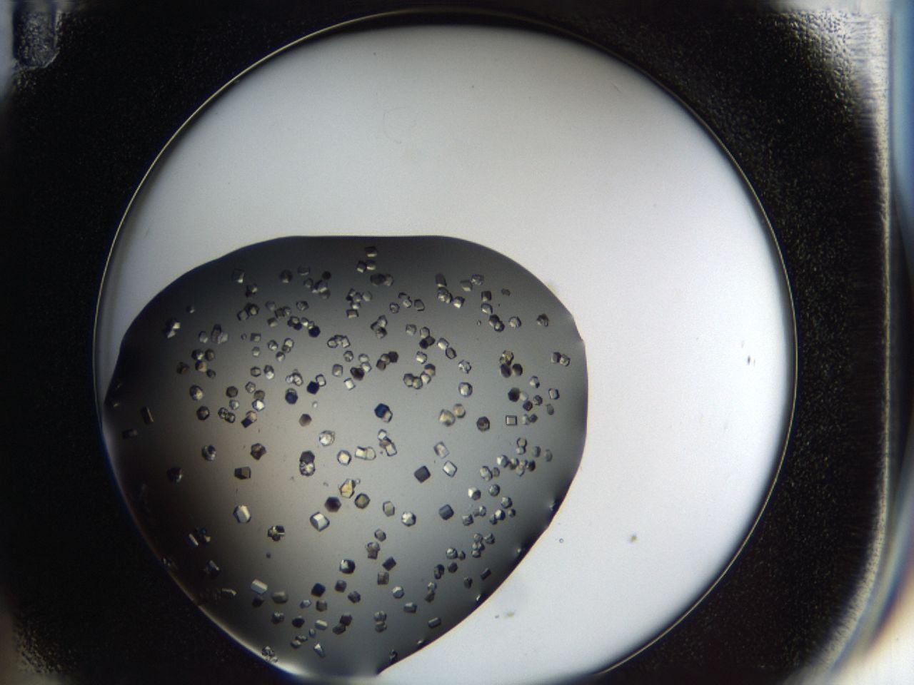 03q1_B11_ImagerDefaults_8.jpg