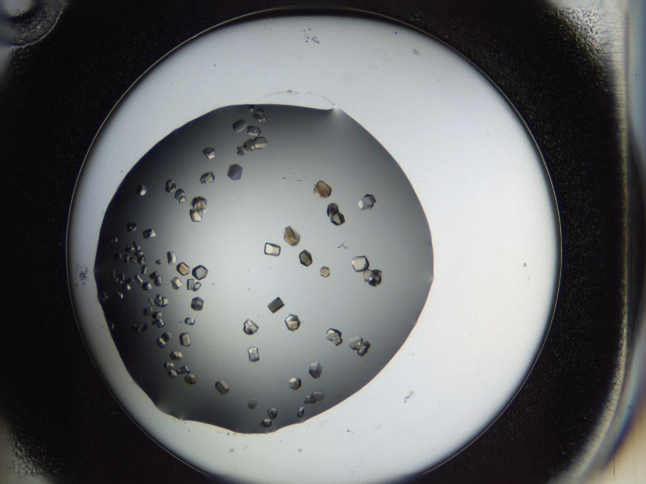 03q1_B10_ImagerDefaults_9.jpg