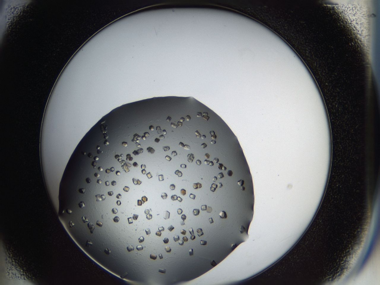 03q1_B9_ImagerDefaults_8.jpg