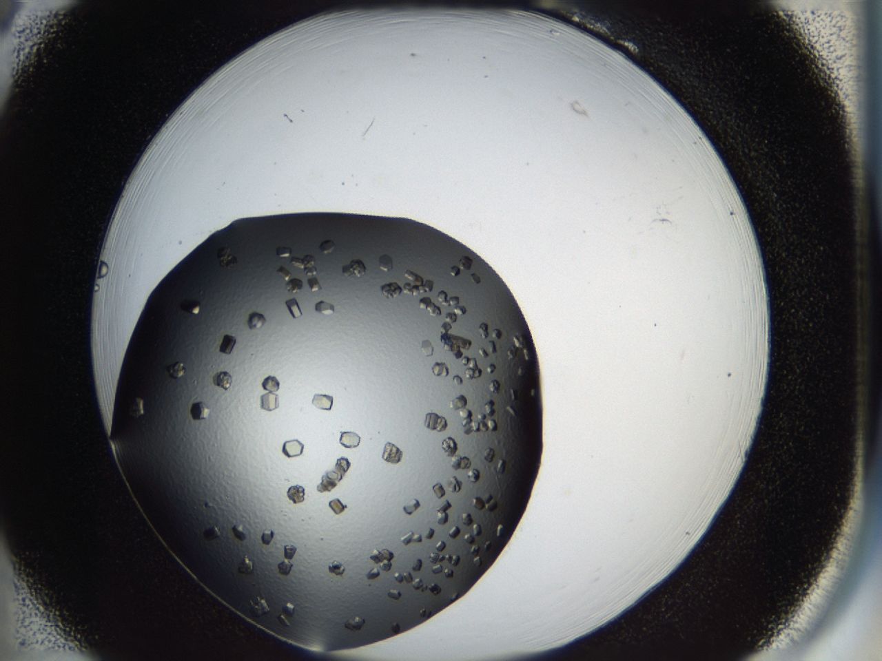 03q1_B6_ImagerDefaults_8.jpg