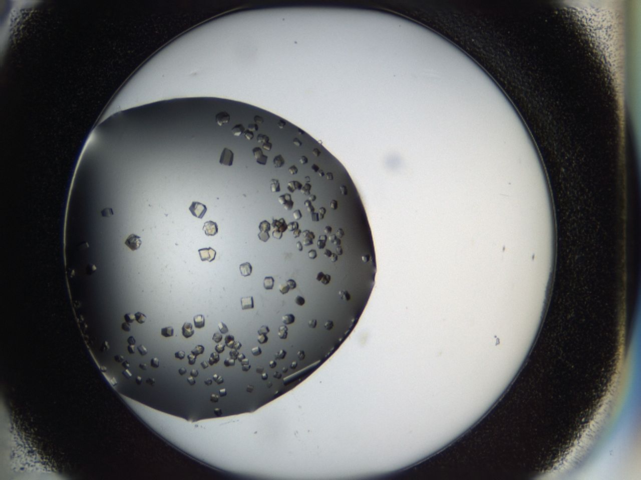 03q1_C6_ImagerDefaults_9.jpg