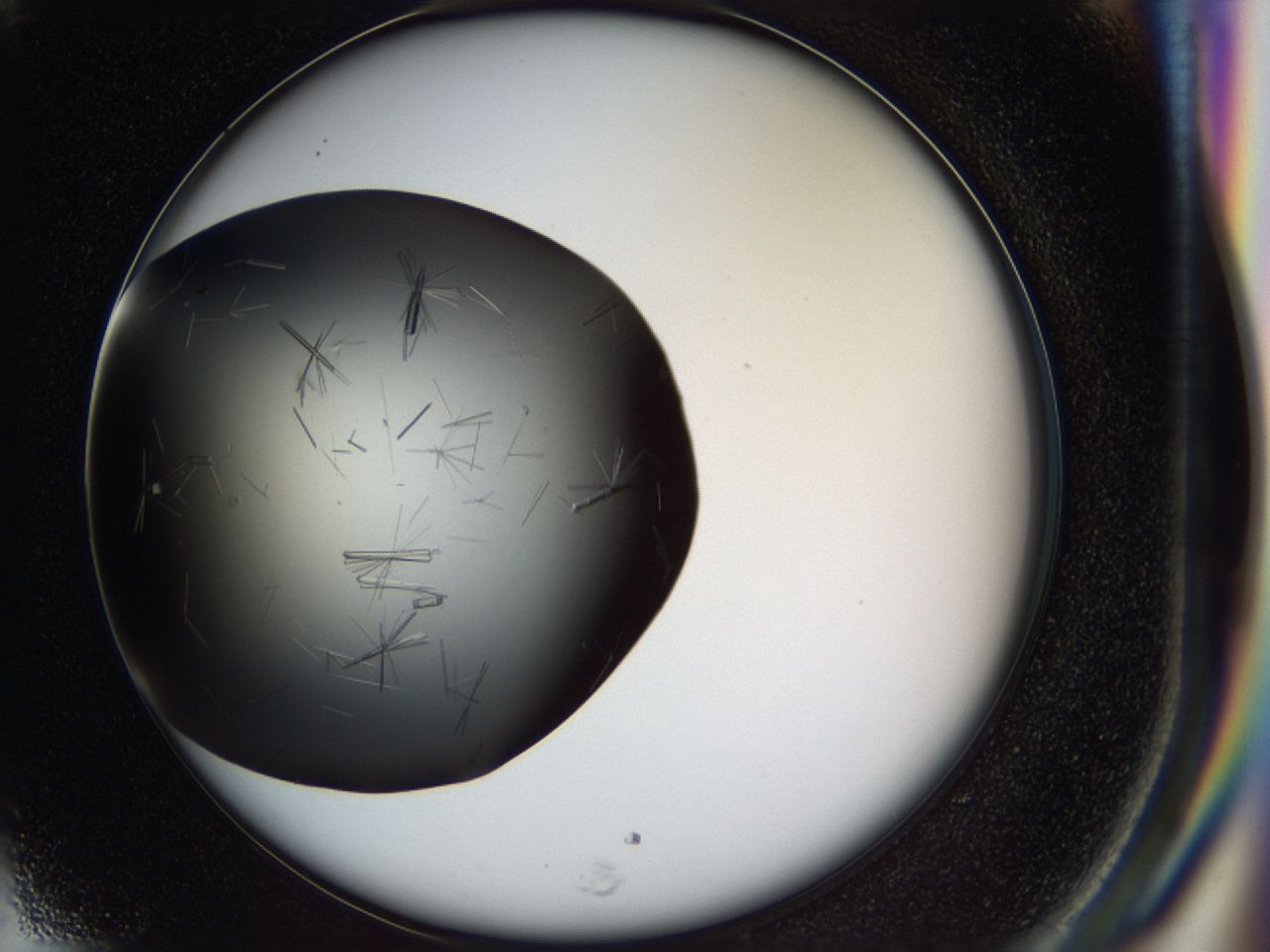 03q1_H5_ImagerDefaults_7.jpg