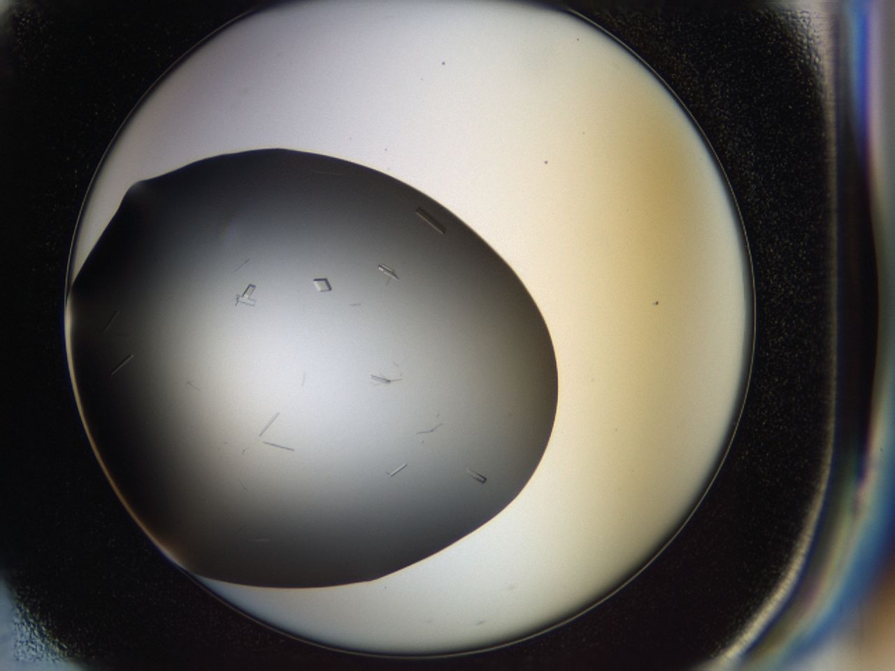 03q1_F1_ImagerDefaults_6.jpg