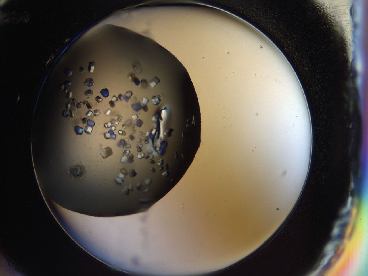 03q1_H12_ImagerDefaults_9.jpg