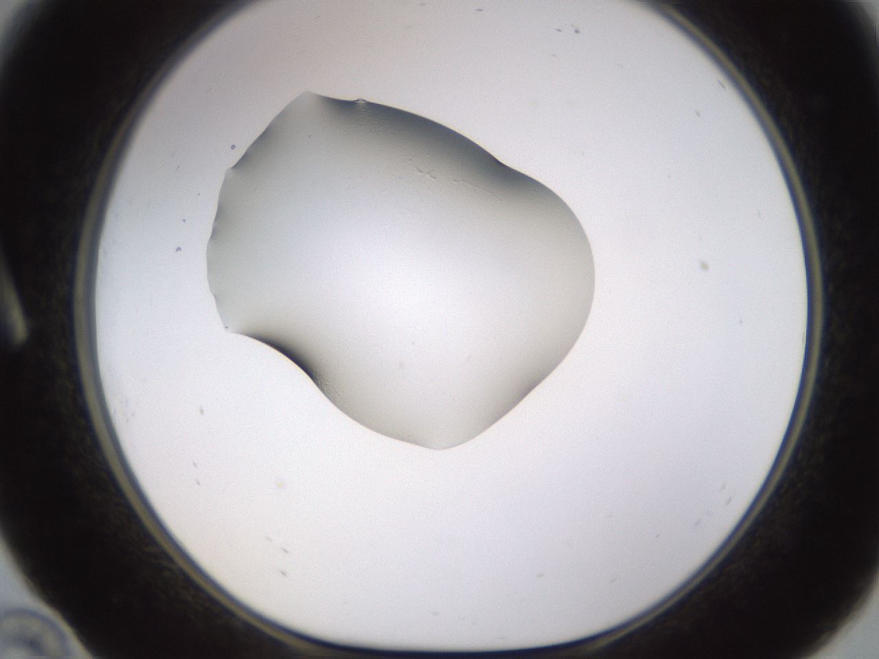folderID633_plateID1633_batchID6839_wellNum10_profileID1_d1_r109916_ef.jpg