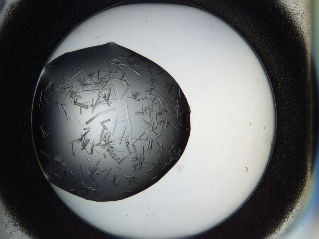 03q2_C6_ImagerDefaults_9.jpg