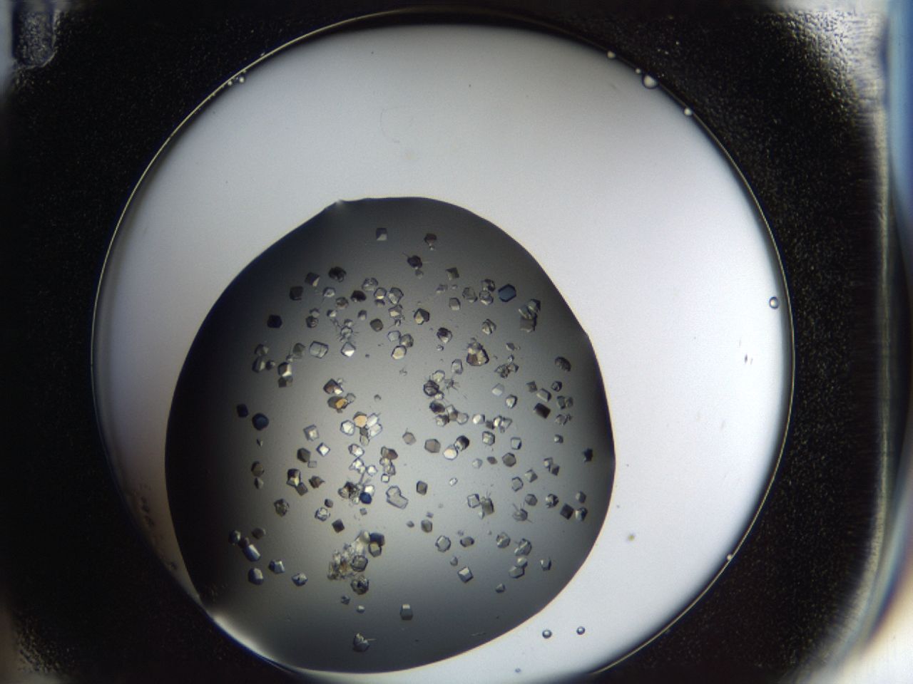 03q2_B11_ImagerDefaults_9.jpg