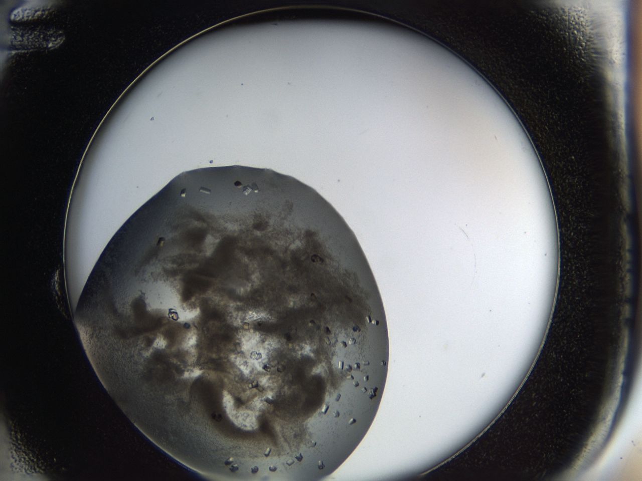 03q2_B12_ImagerDefaults_8.jpg