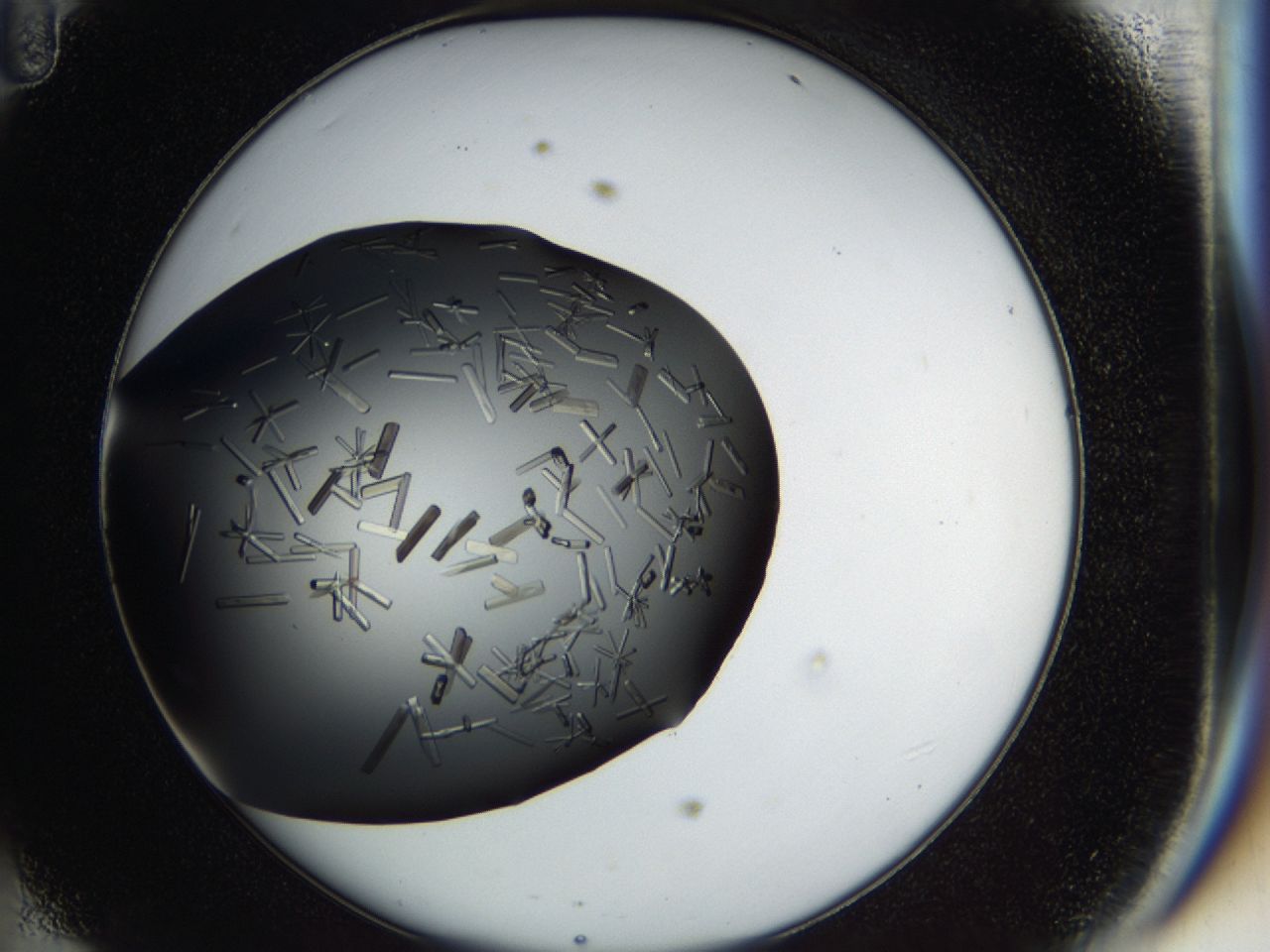 03q2_D11_ImagerDefaults_9.jpg