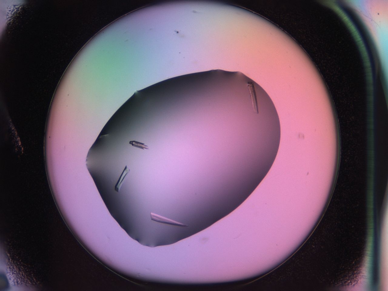 03q3_A6_ImagerDefaults_9.jpg