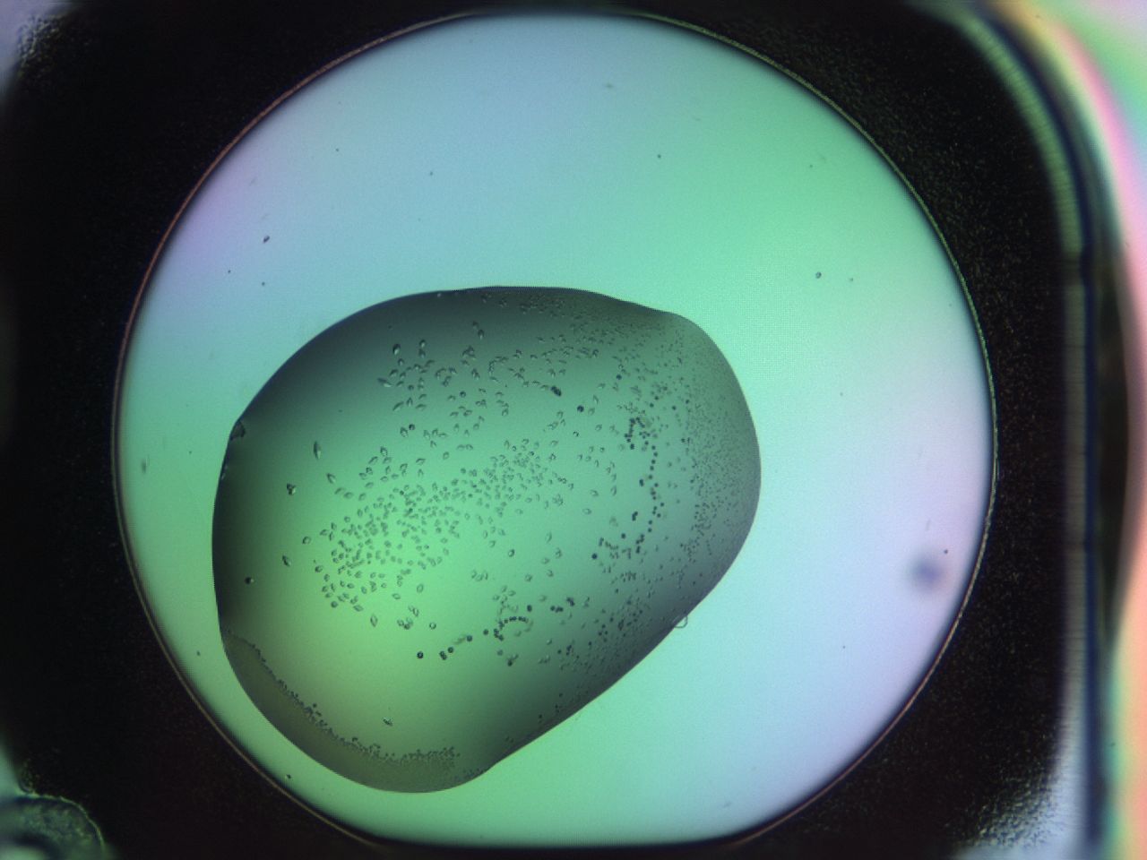 03q3_D12_ImagerDefaults_9.jpg