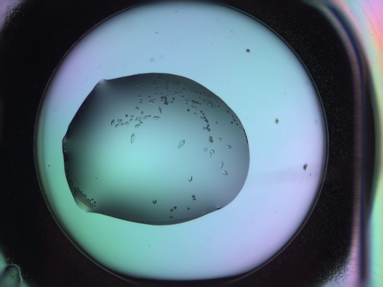 03q3_D11_ImagerDefaults_9.jpg