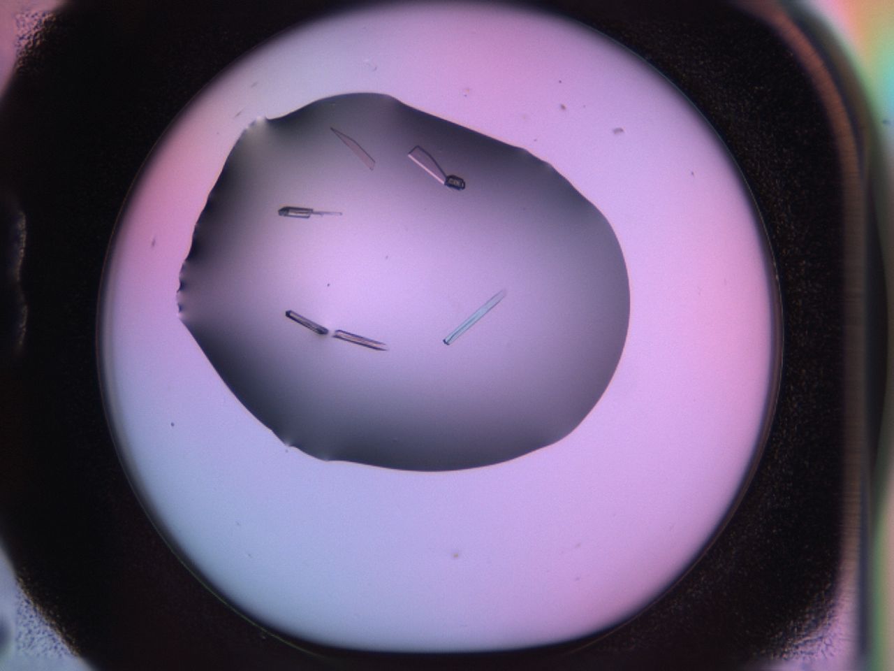03q3_B5_ImagerDefaults_9.jpg