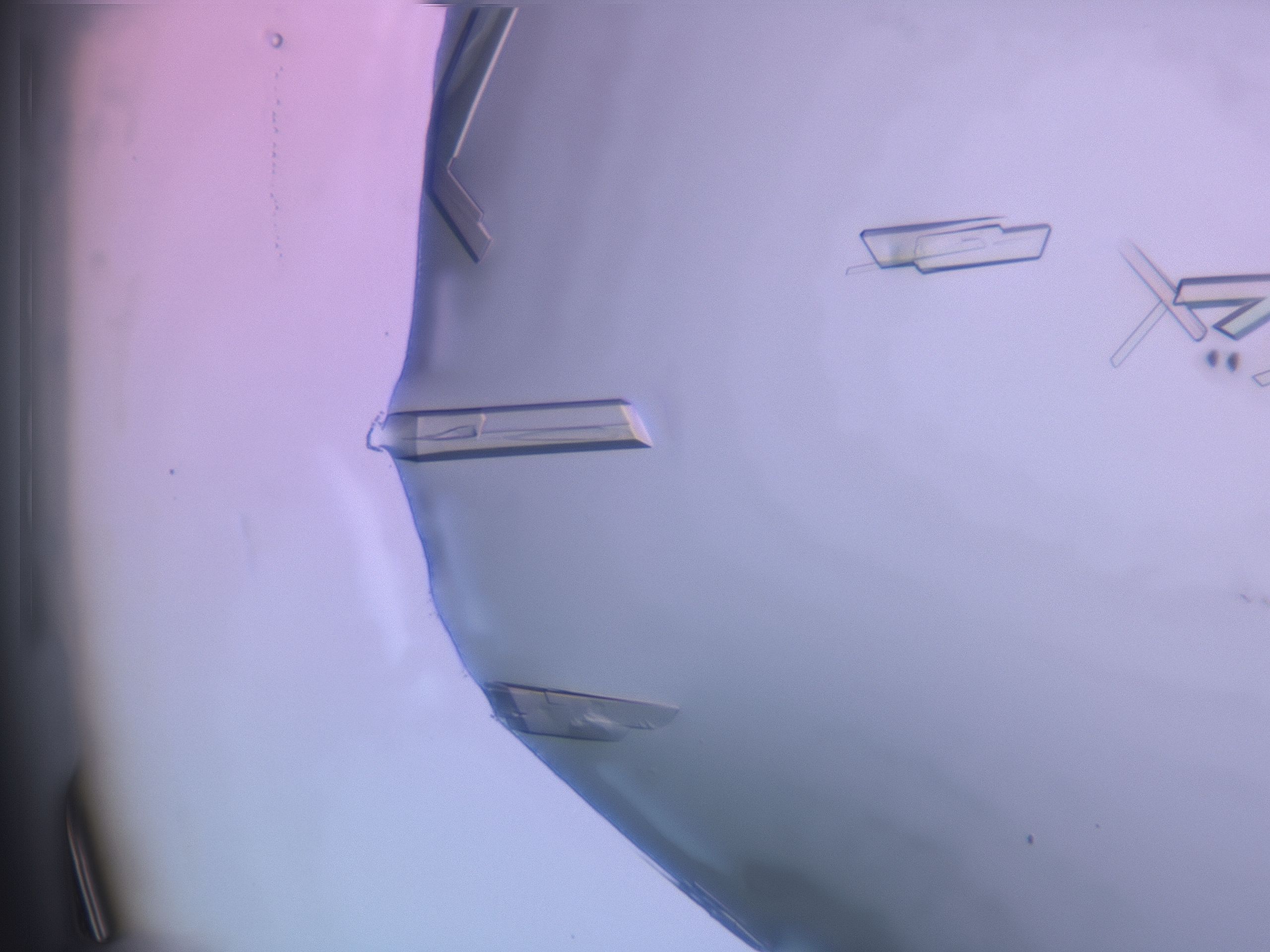 03q3_C6_HighResolution_9.jpg