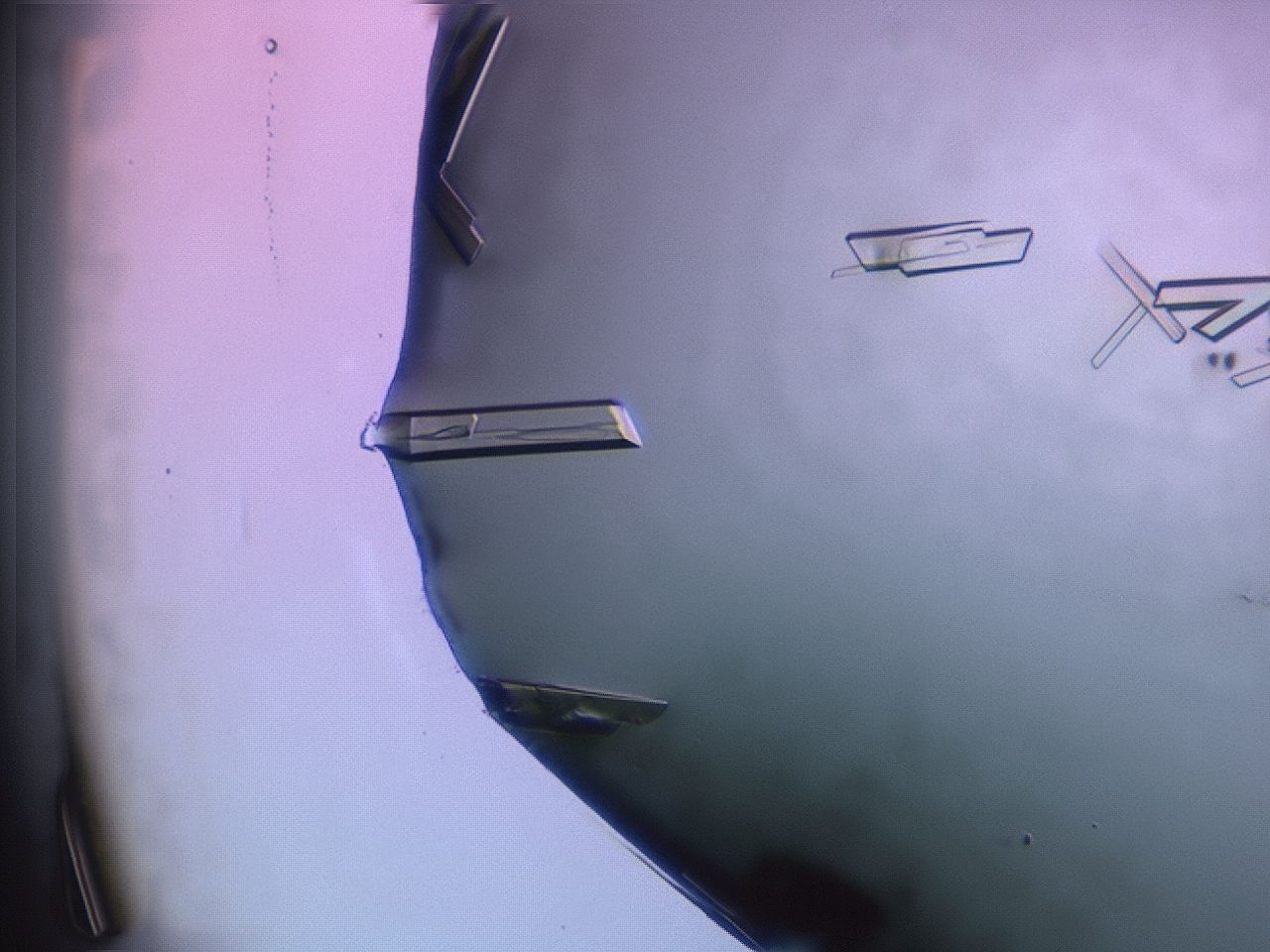 03q3_C6_HighContrast_9.jpg