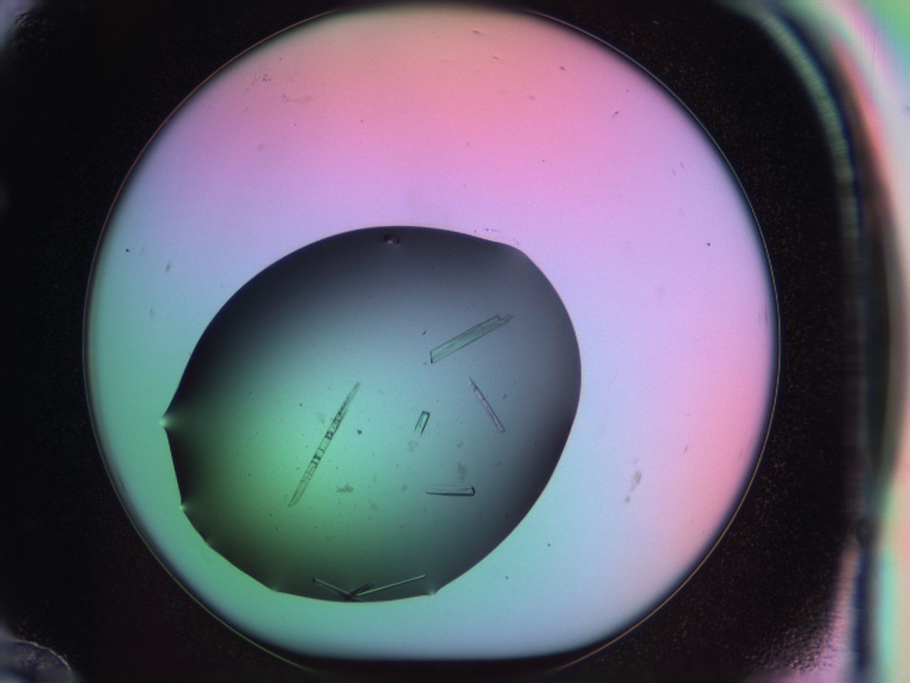 03q3_F12_ImagerDefaults_9.jpg